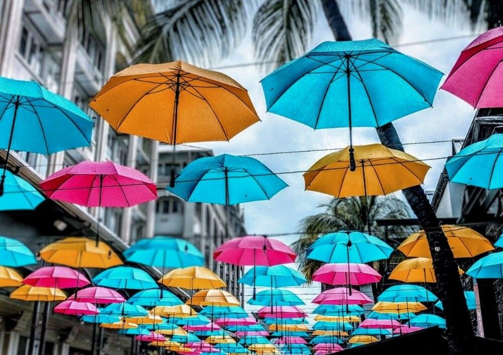 Under an Ocean of Colors