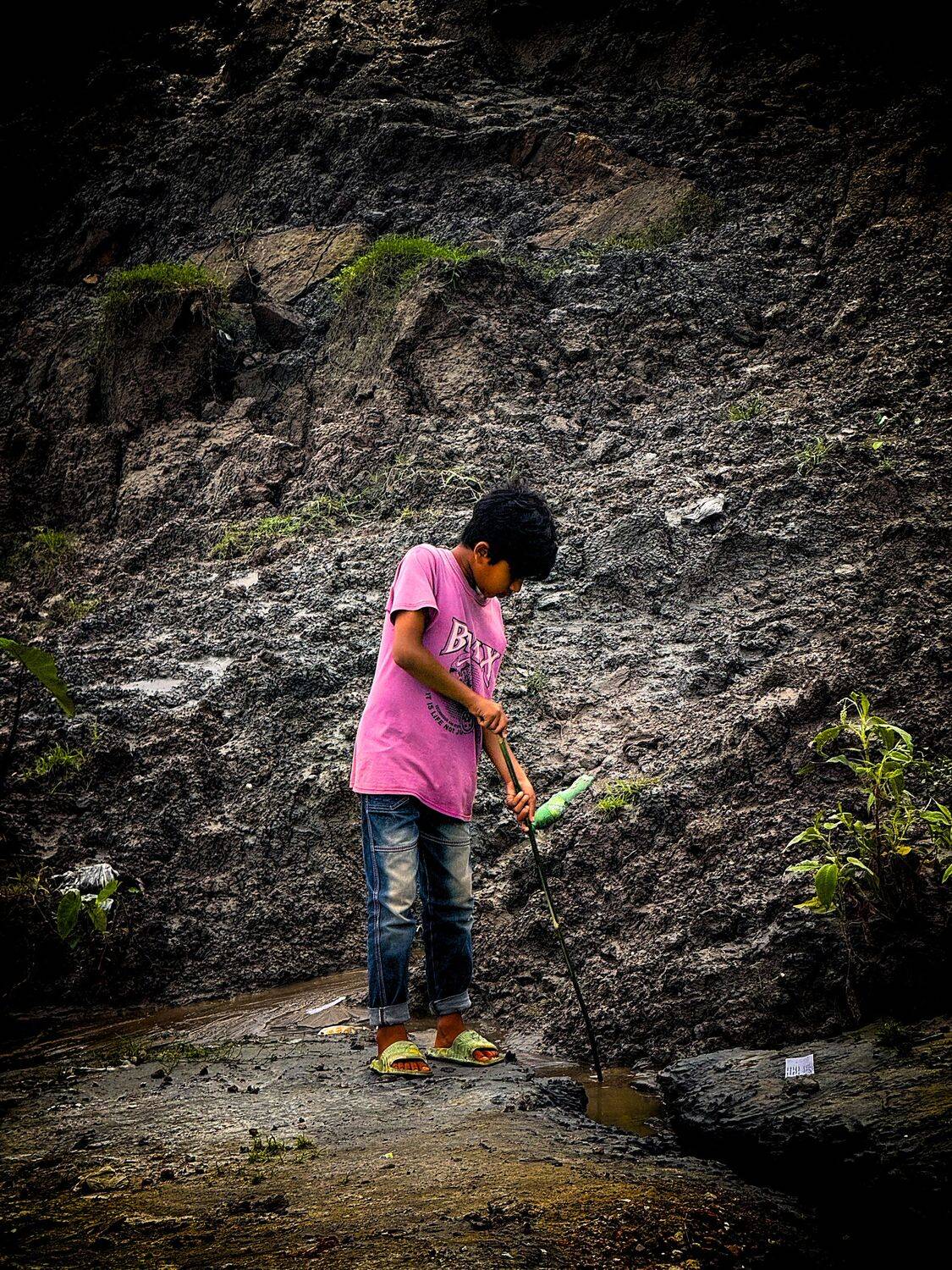 The Young Explorer