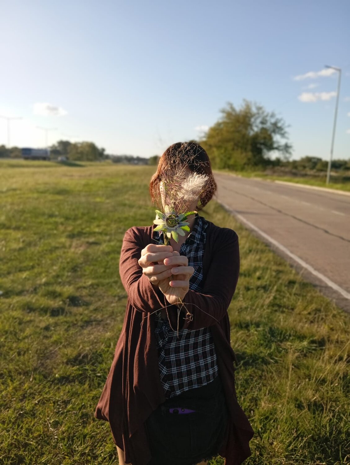 Photo #13720410