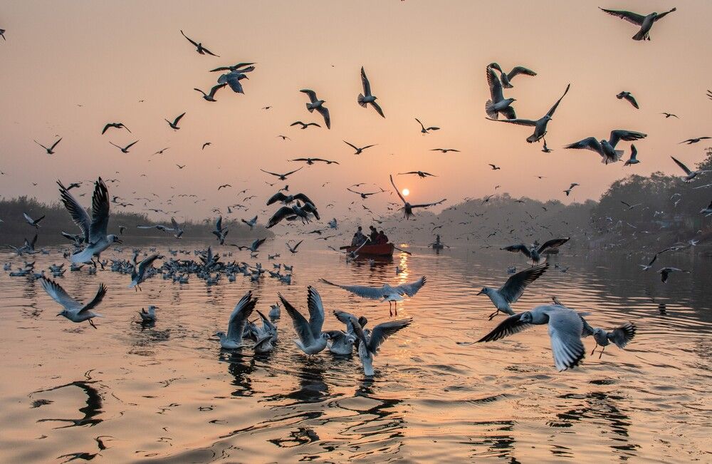 Photograph by Zubair Irshad