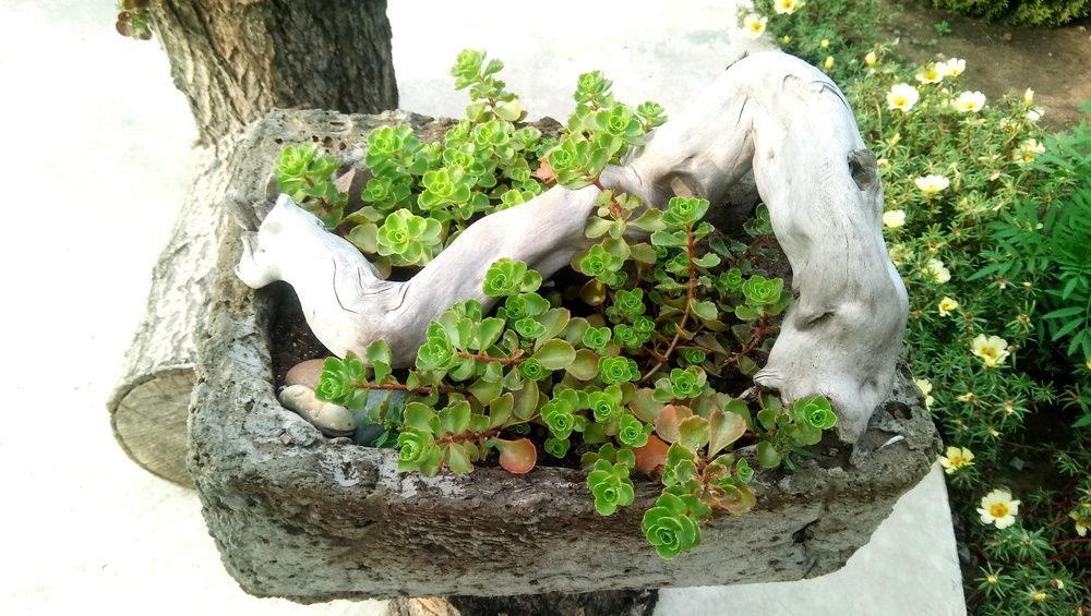 Photograph by Татьяна Поспелова
