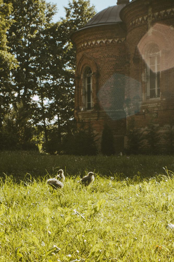 Photograph by Анна Скребкова