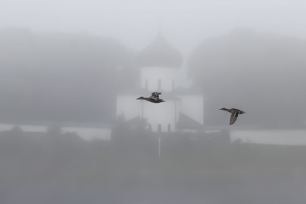 Photograph by Андрей Кокшаров