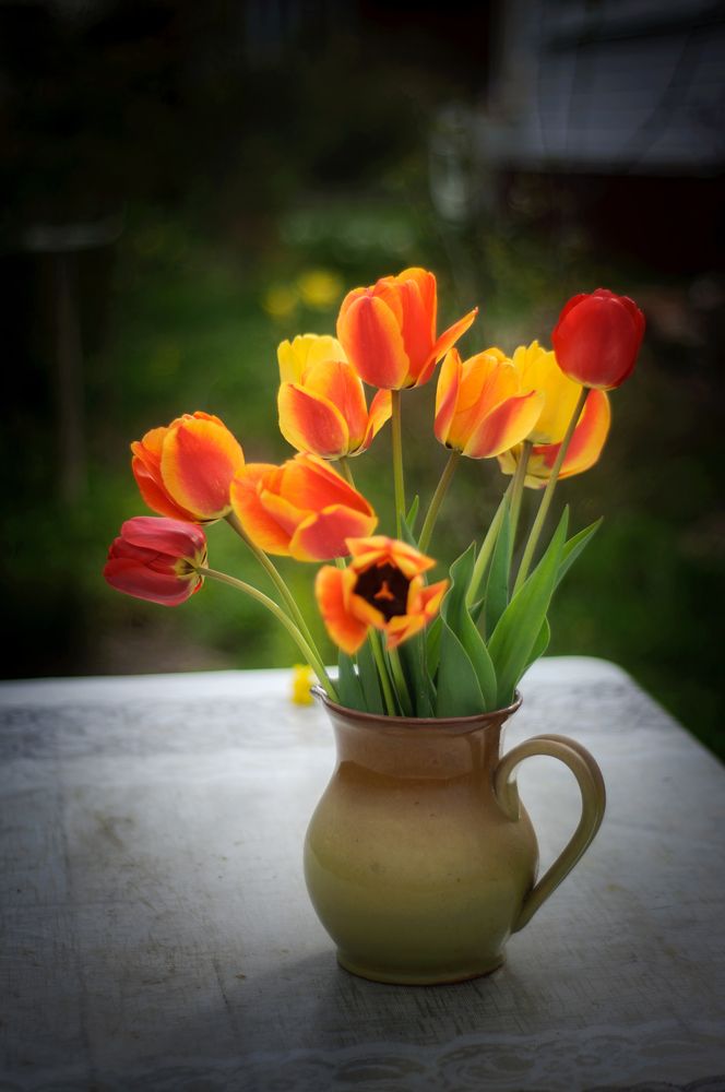 Photograph by Оксана Артимович