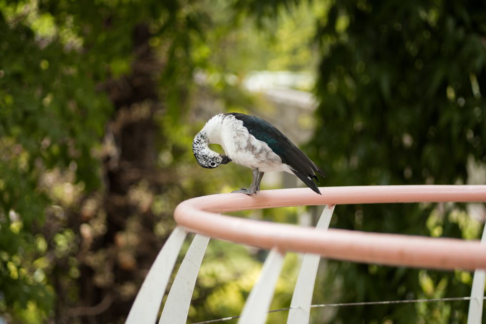 Photograph by Pihu chudasama