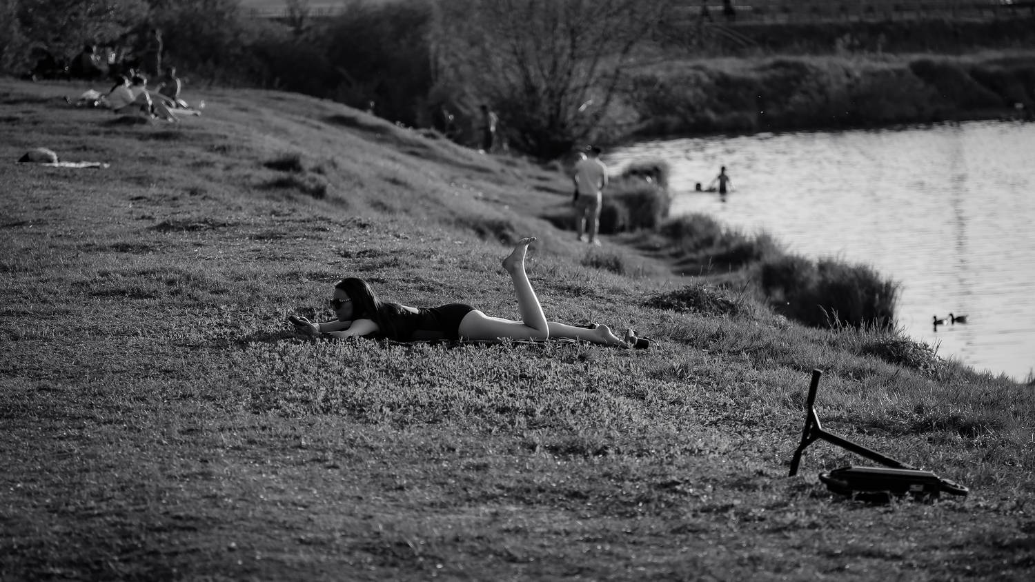 Photo #13720811