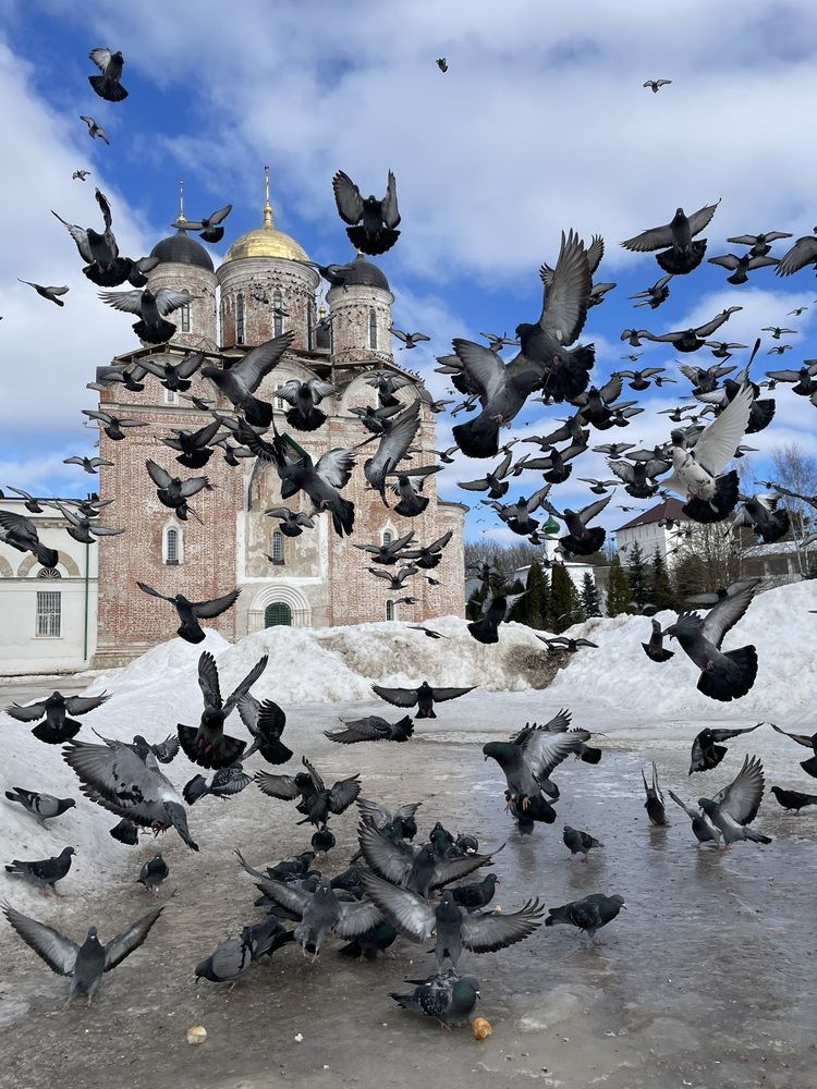 Фотография автора Людмила Белякова