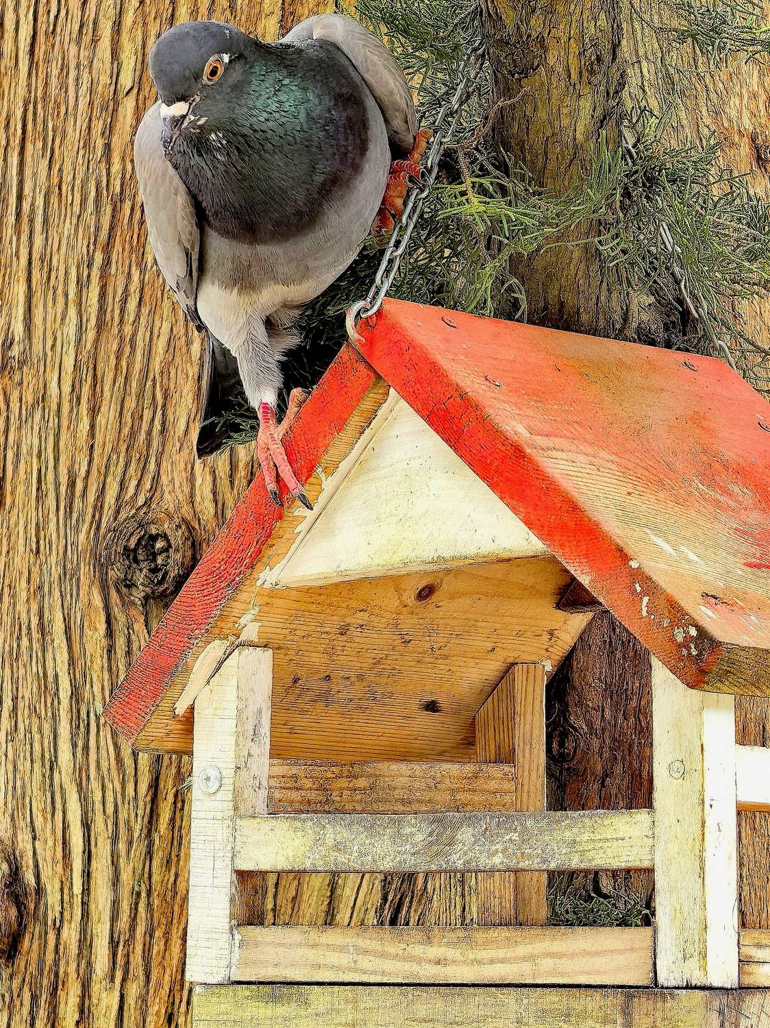 Photo #13720889