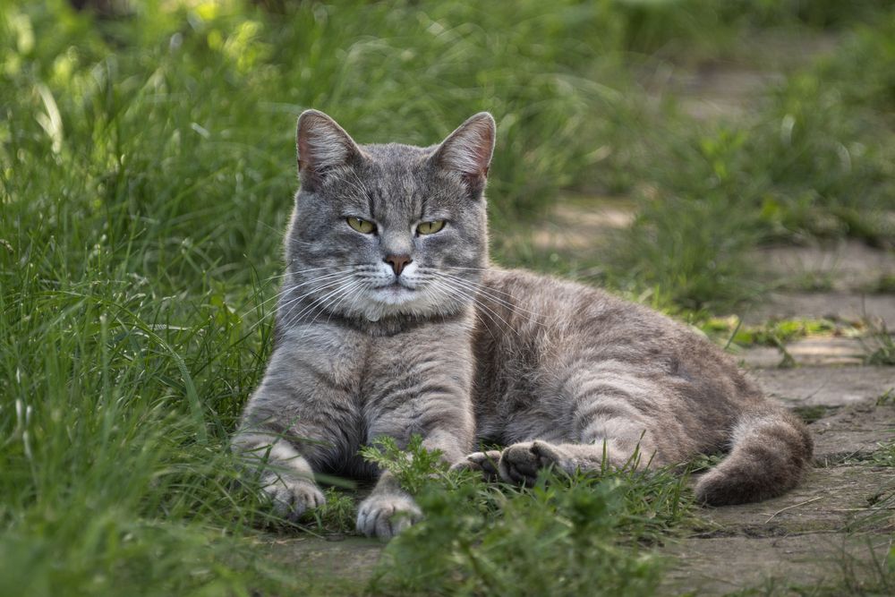 Photograph by YURIY TSARENKO