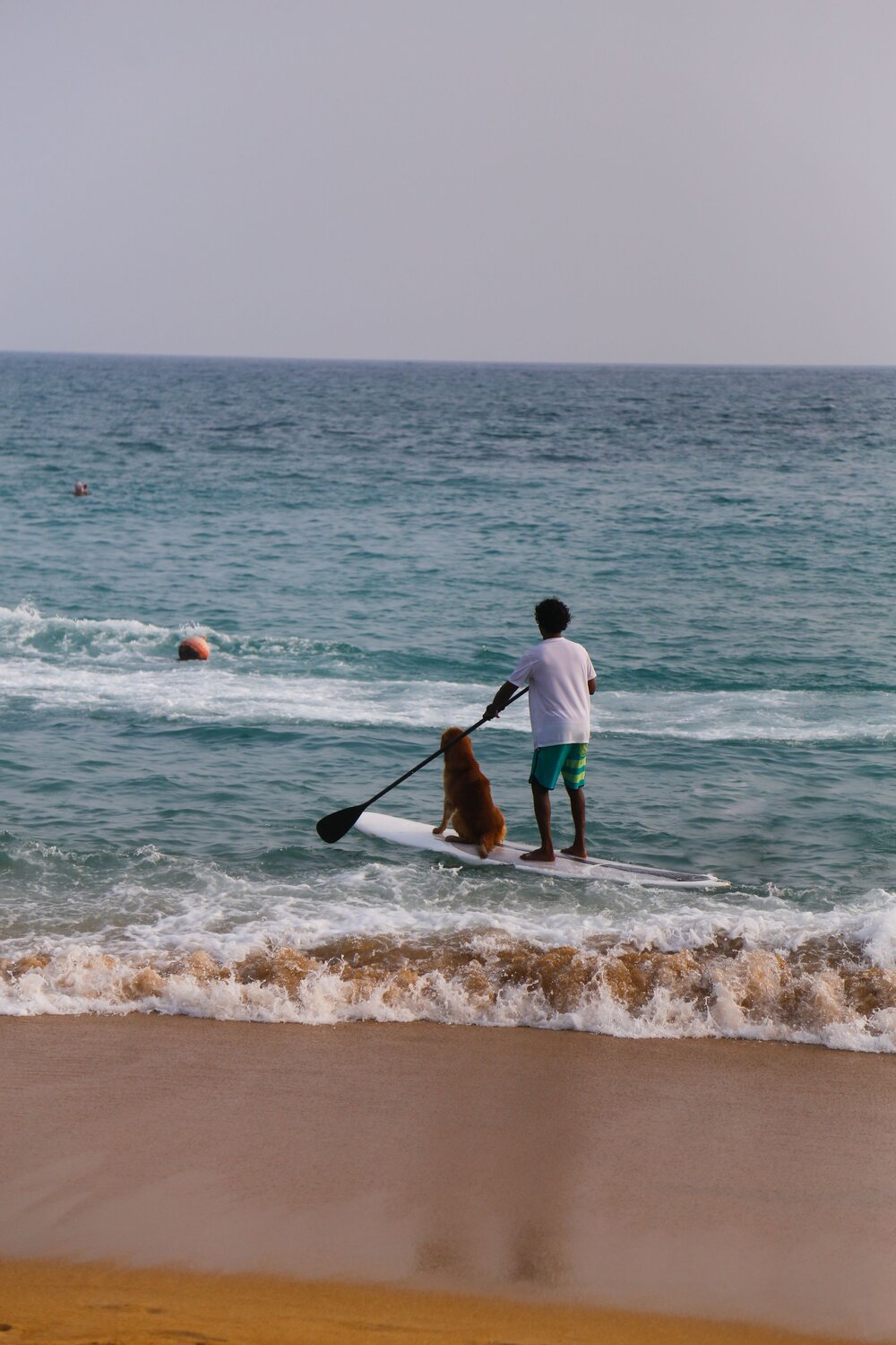 Photo #13721015