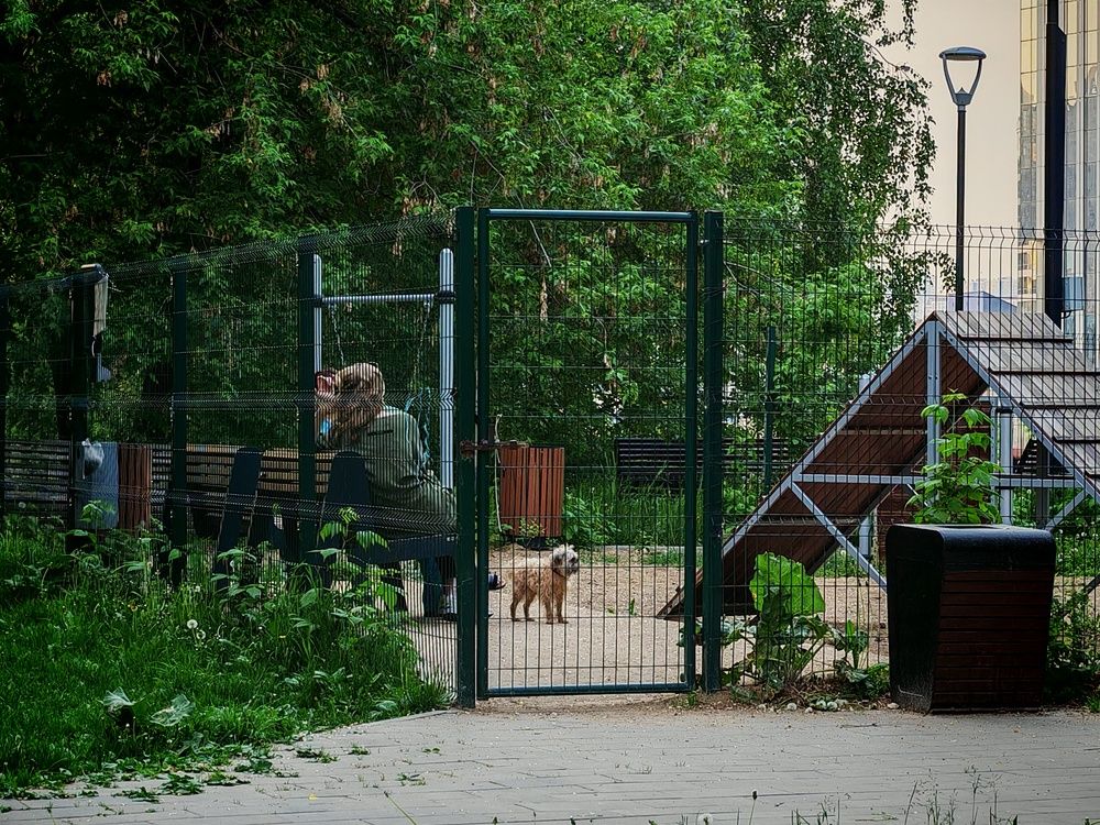 Photograph by Наталья Половая