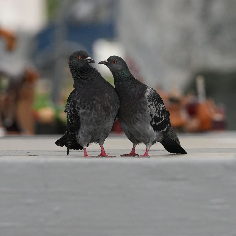 Photograph by Ян
