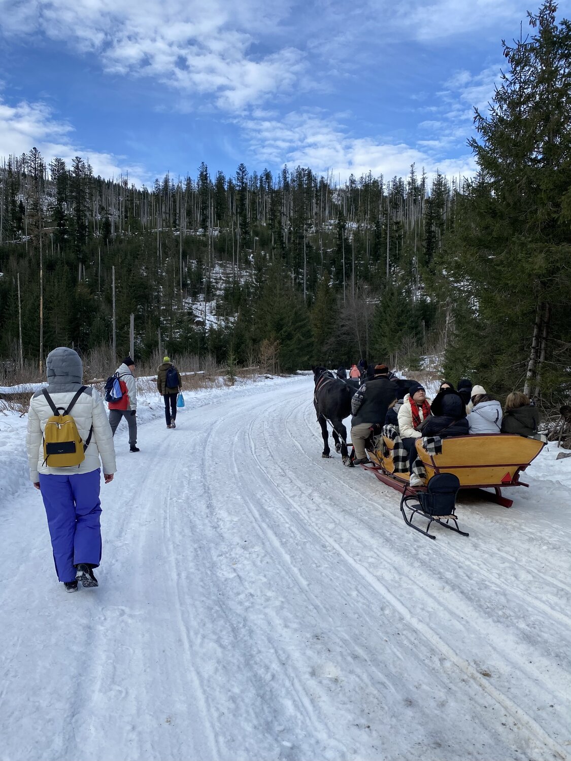 Photo #13721102
