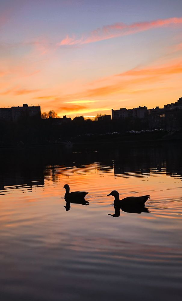 Photograph by Анна Липилина