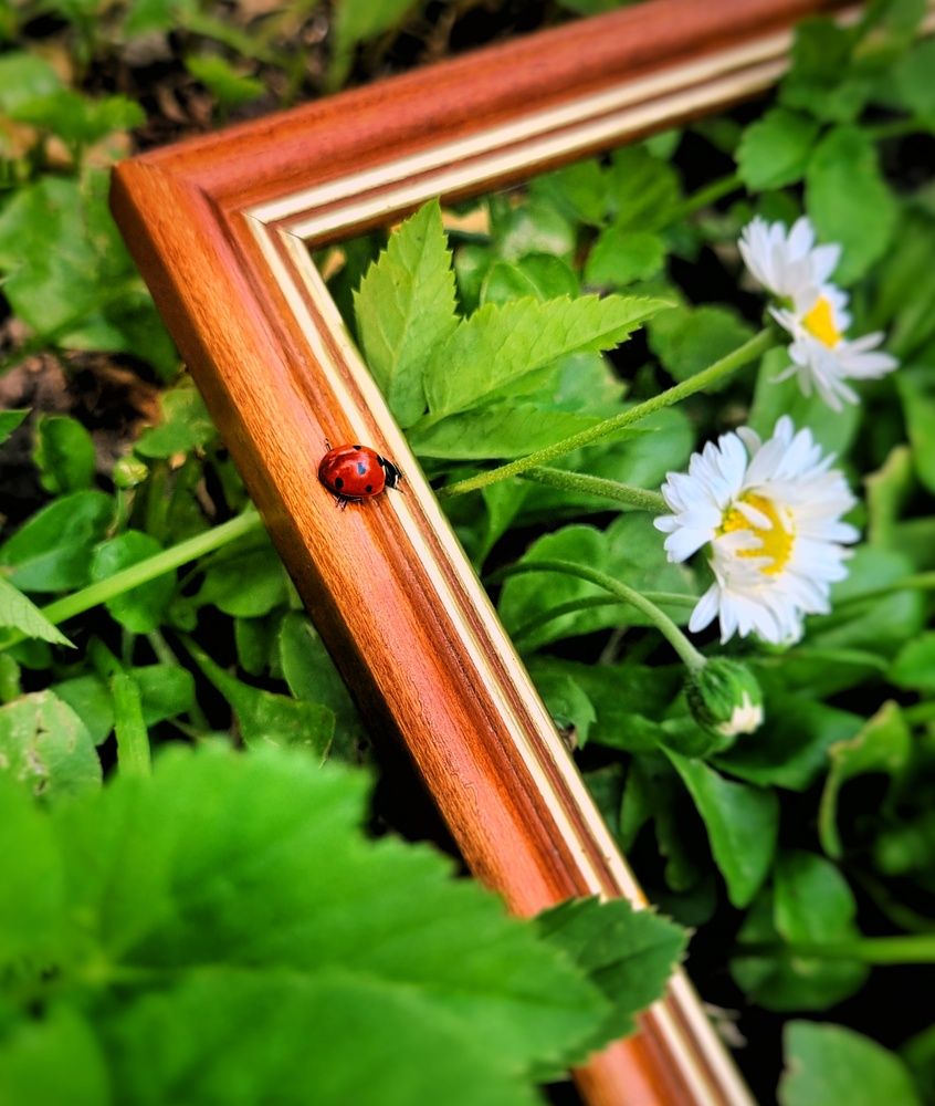 Photograph by Людмила Кухарева