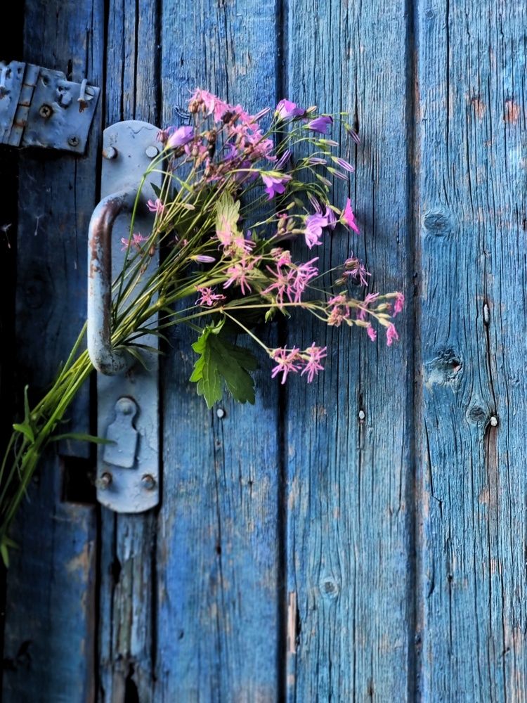 Photograph by Людмила Кухарева