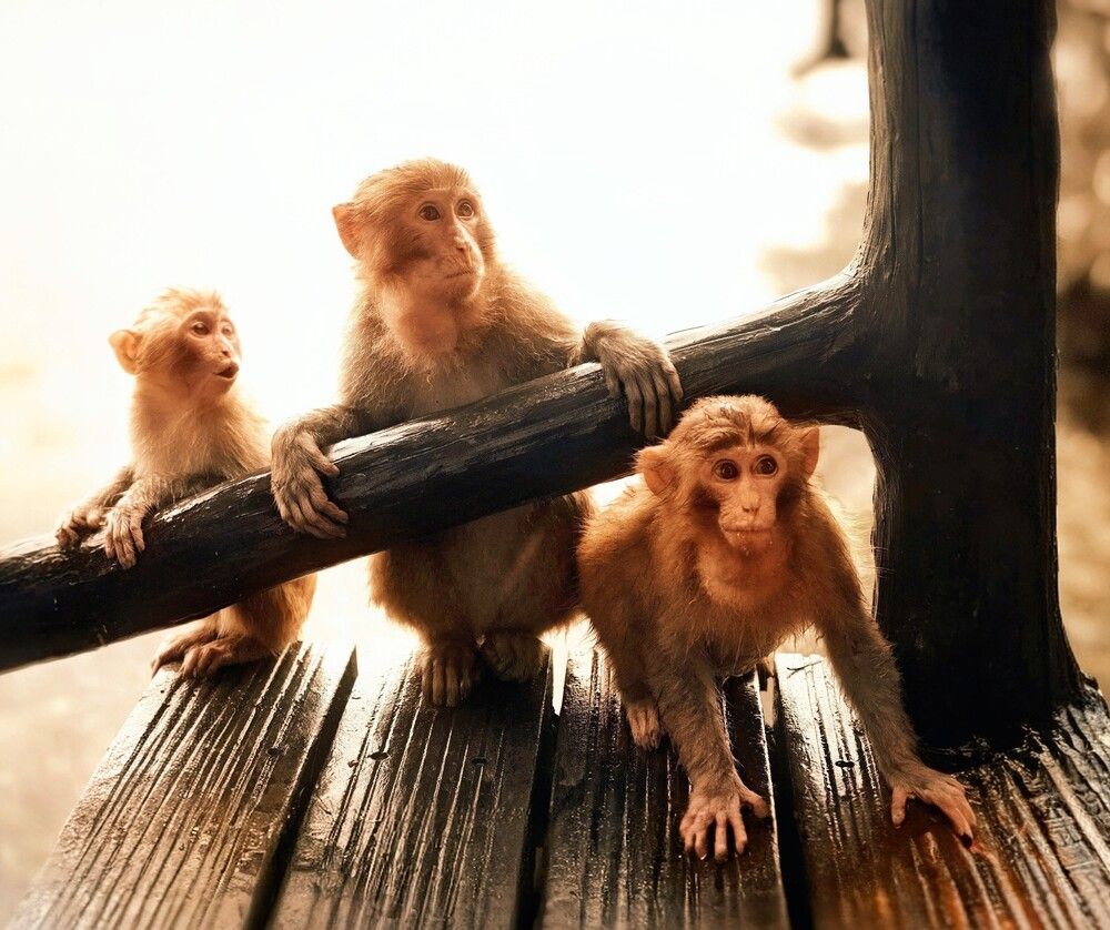 Photograph by Игорь Бахарев