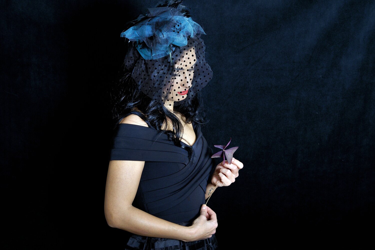 Photo #13721292