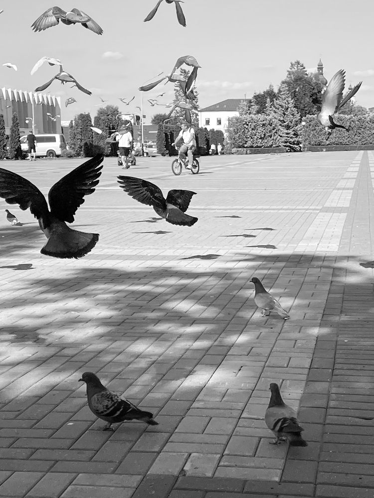 Photograph by Светлана Савина