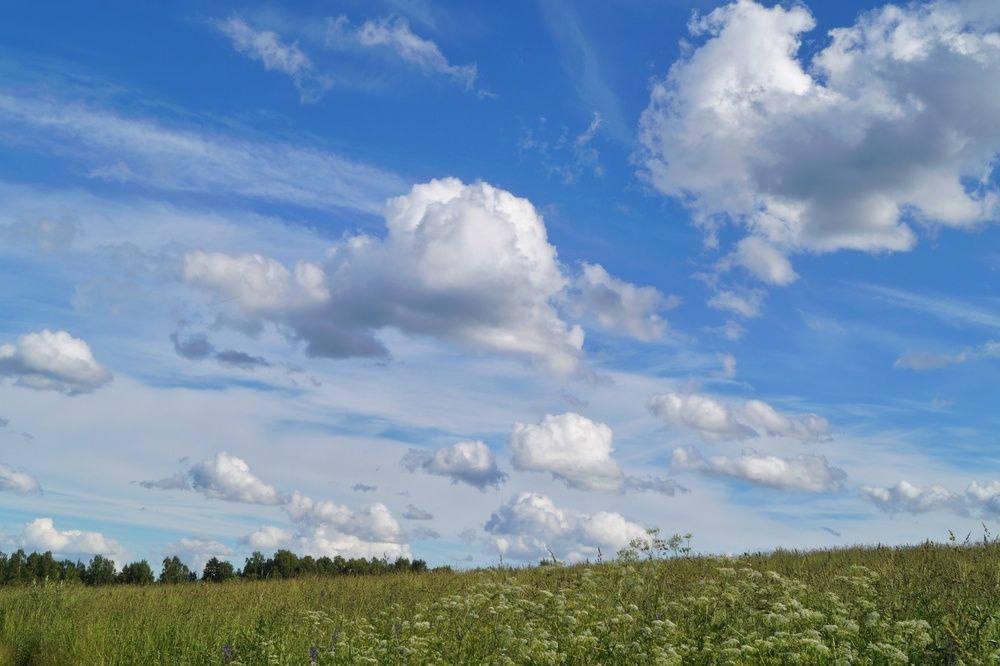 Photograph by Любовь Марова