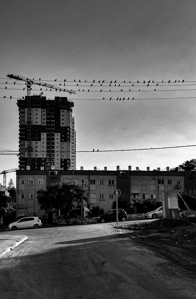 Photograph by Daria Rozenblium