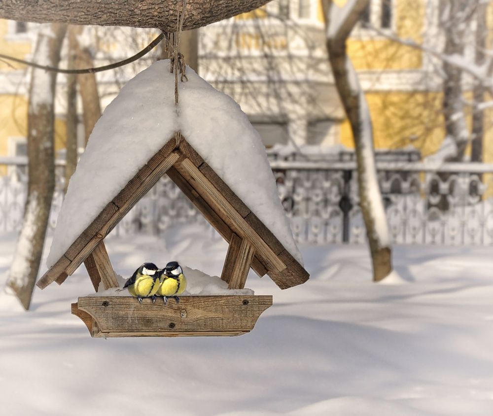 Photograph by Ирина Пинчук