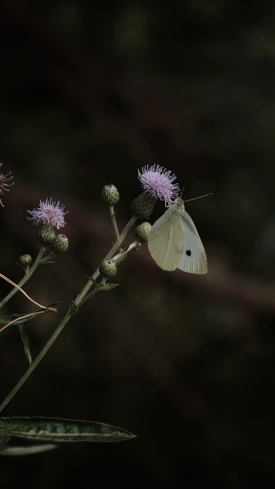 Photograph by Margarita Teterkina