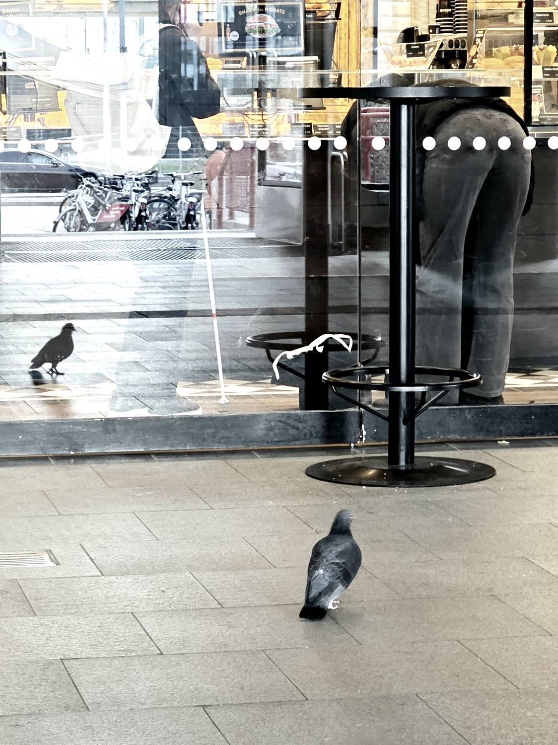 Photo #13721637
