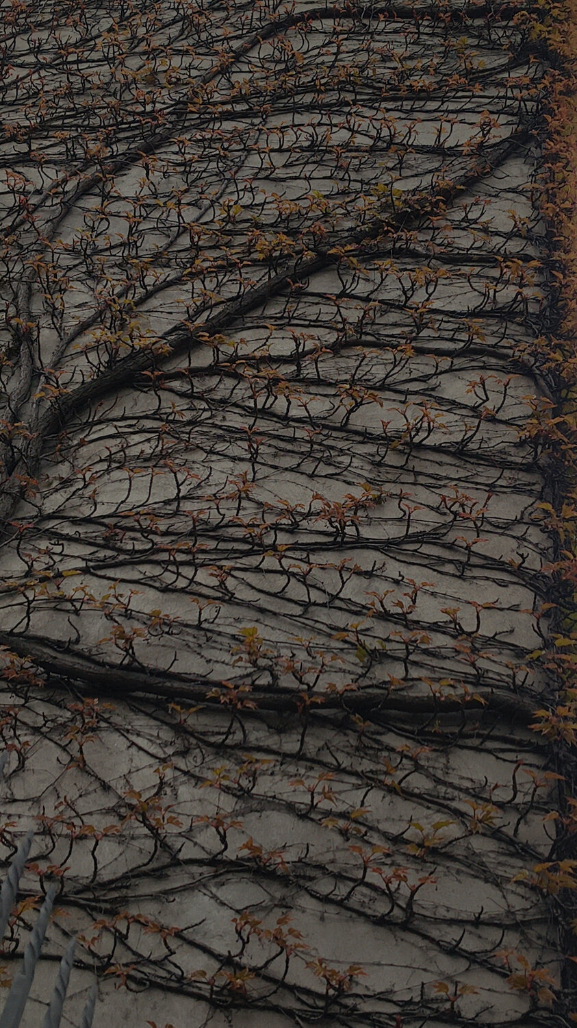 Photo #13721696