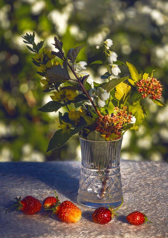 Photograph by Анна Акименко