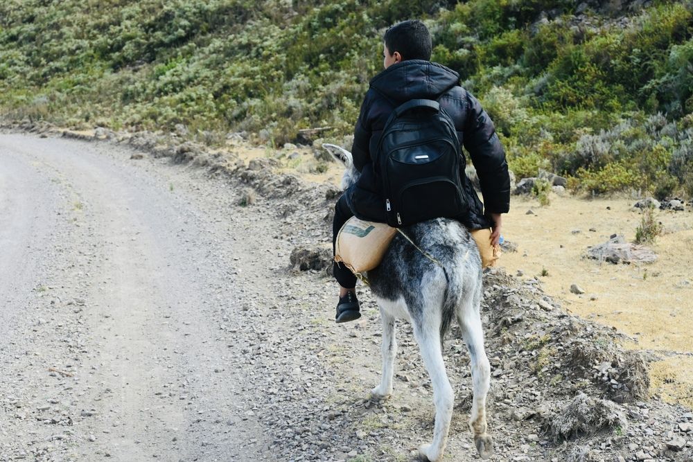 Journey Through the Countryside