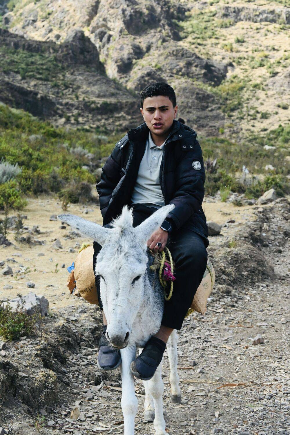 Journey Through the Countryside