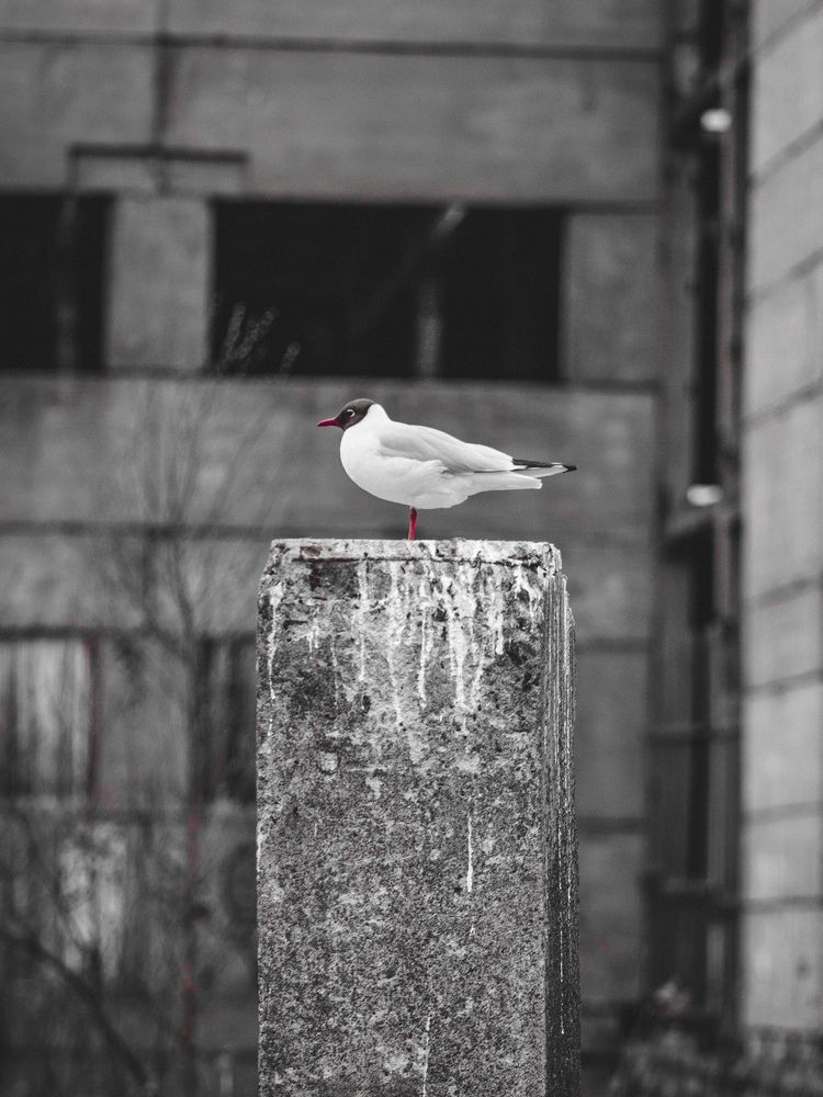 Photograph by Биденко Анастасия
