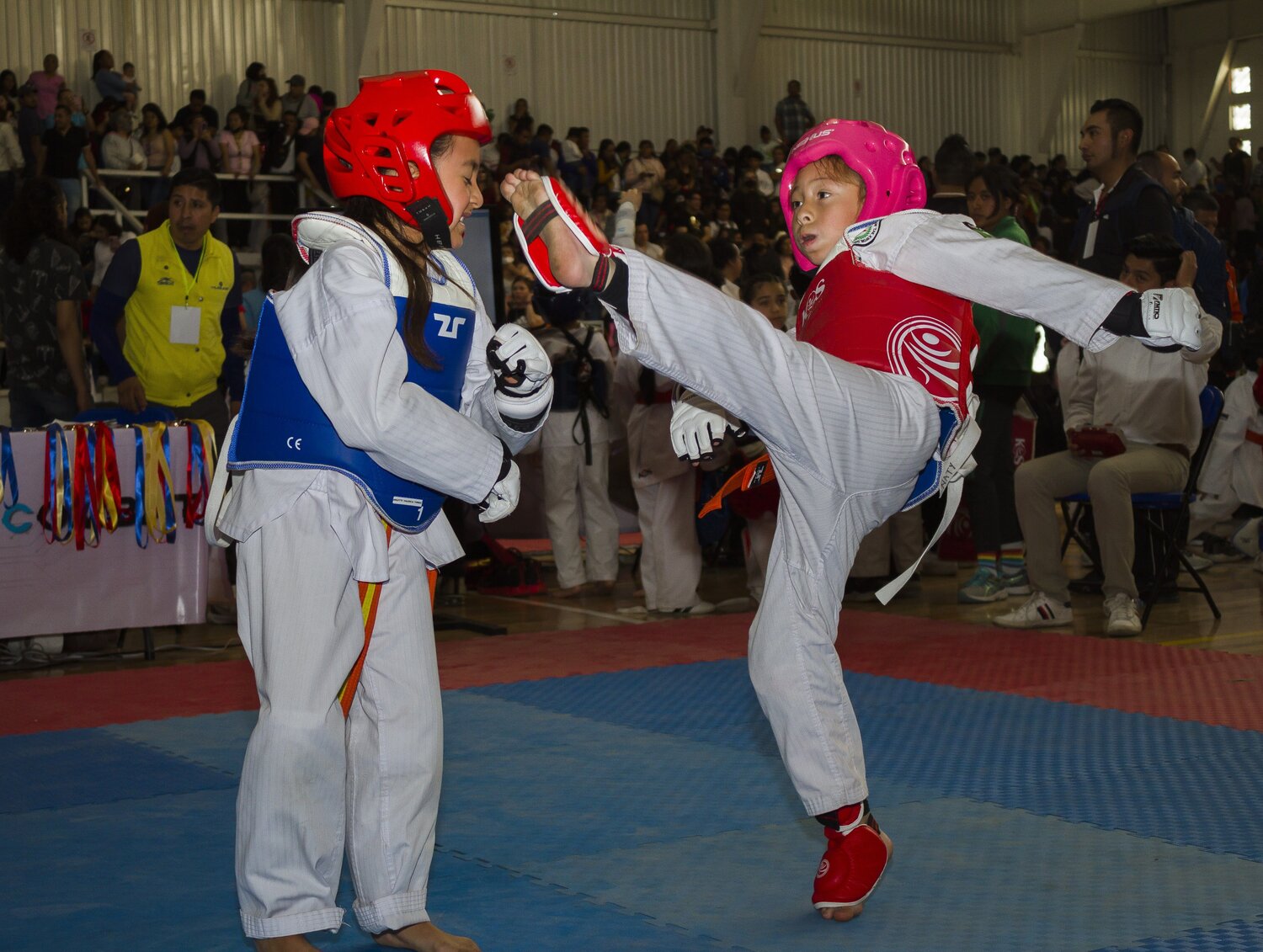 Photo #13721781