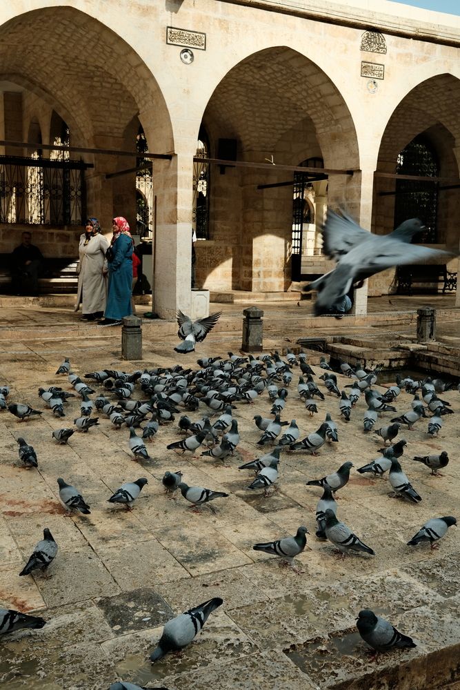 Photograph by Eyüp Sayar