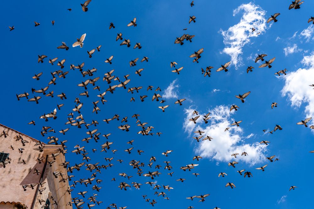 Photograph by j bao