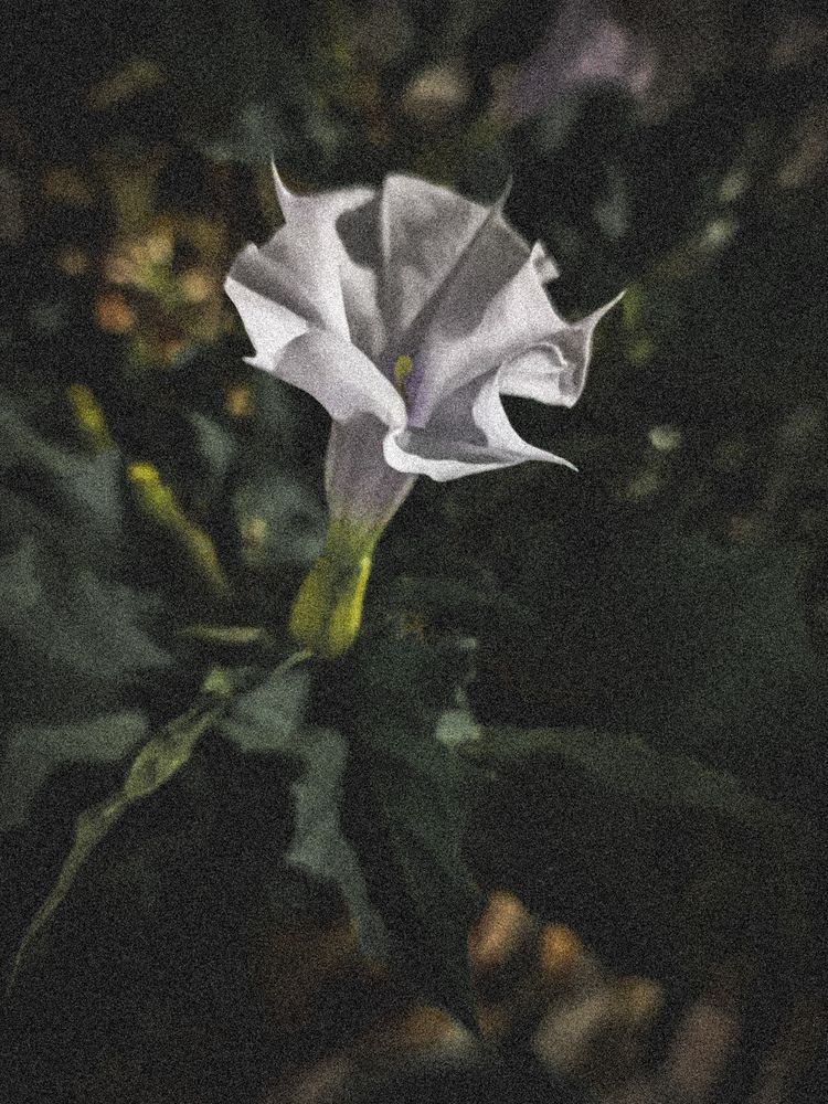 Photograph by Annalise Photographer