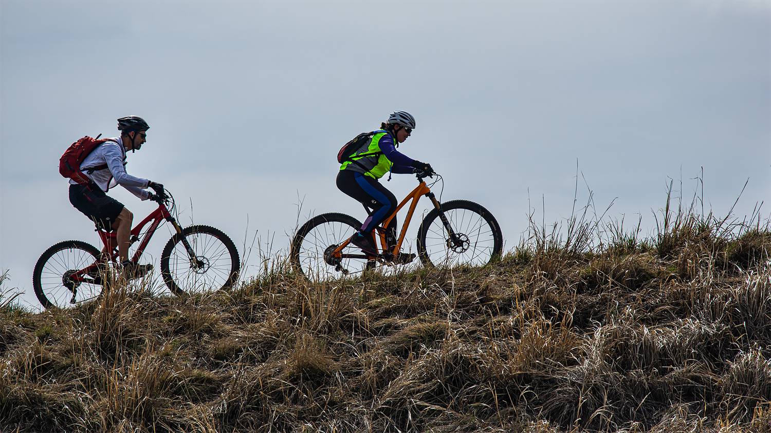 Photo #13721895