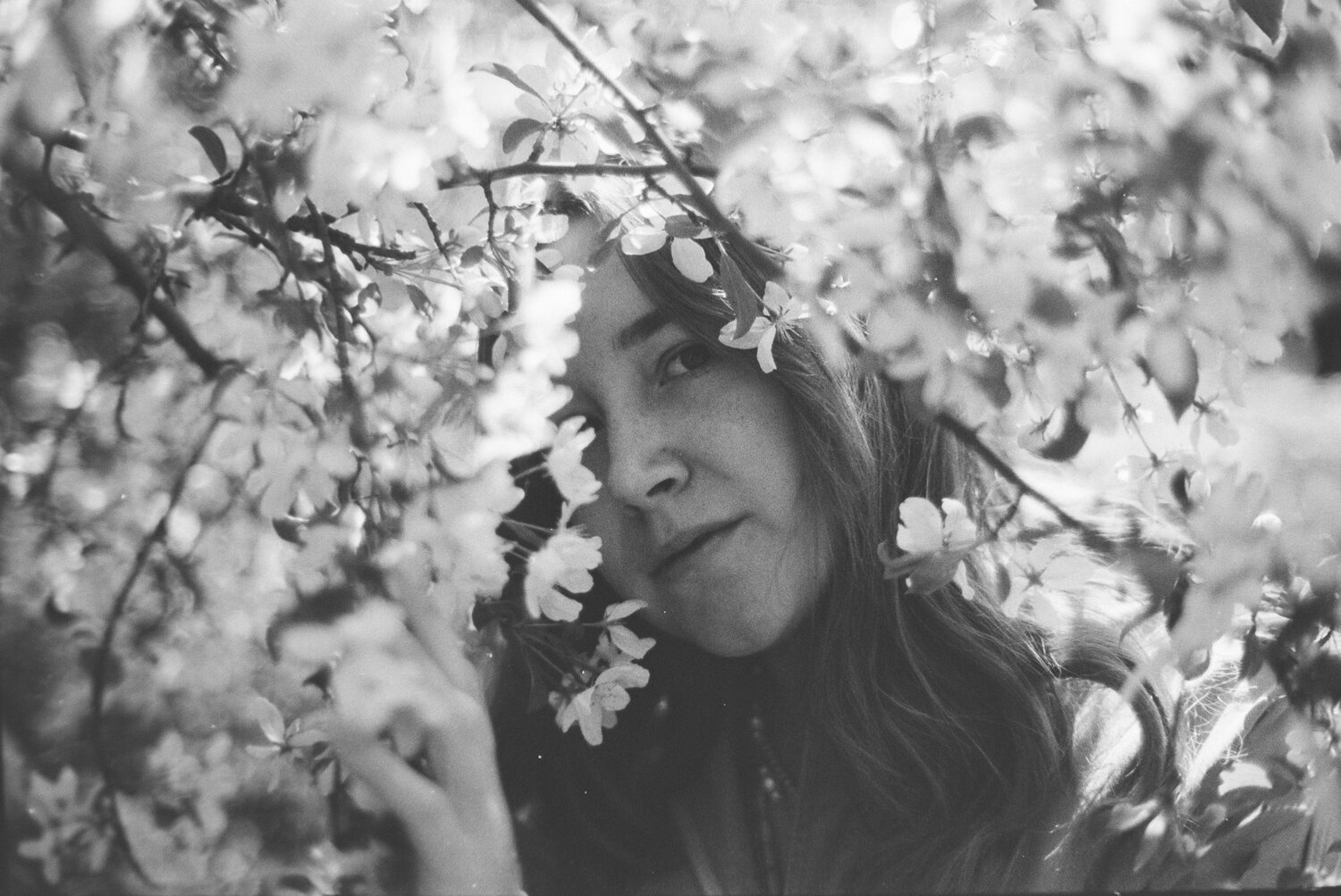 Photo #13721919