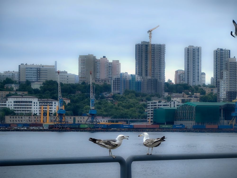 Photograph by Rusik Vladivostok
