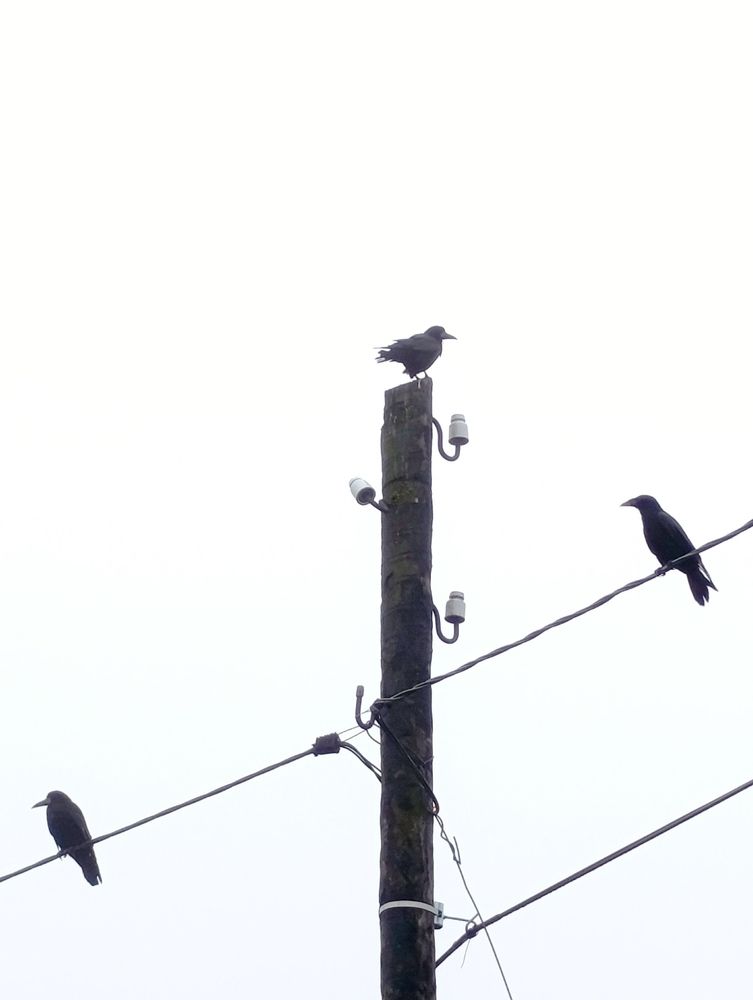 Photograph by Юлия Некрасова