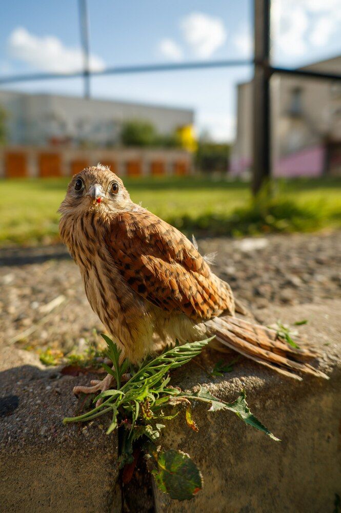 Photograph by Павел Косухин
