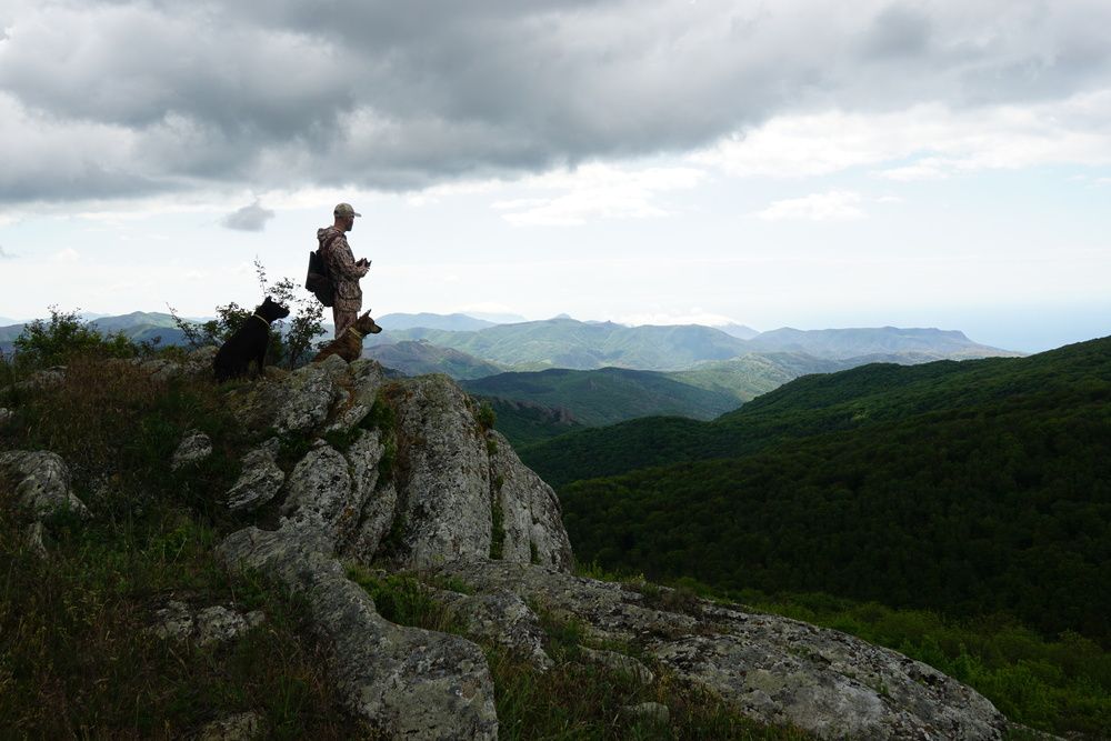 Photograph by света хлевненко