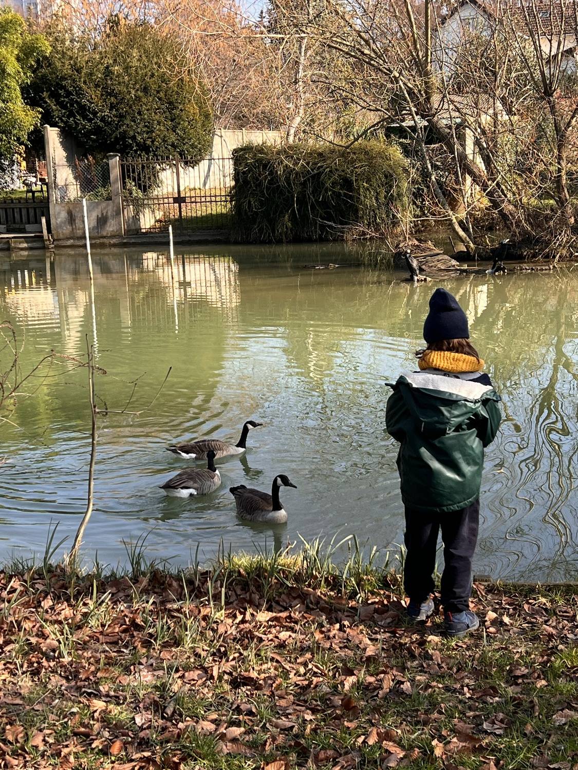 Photo #13722136