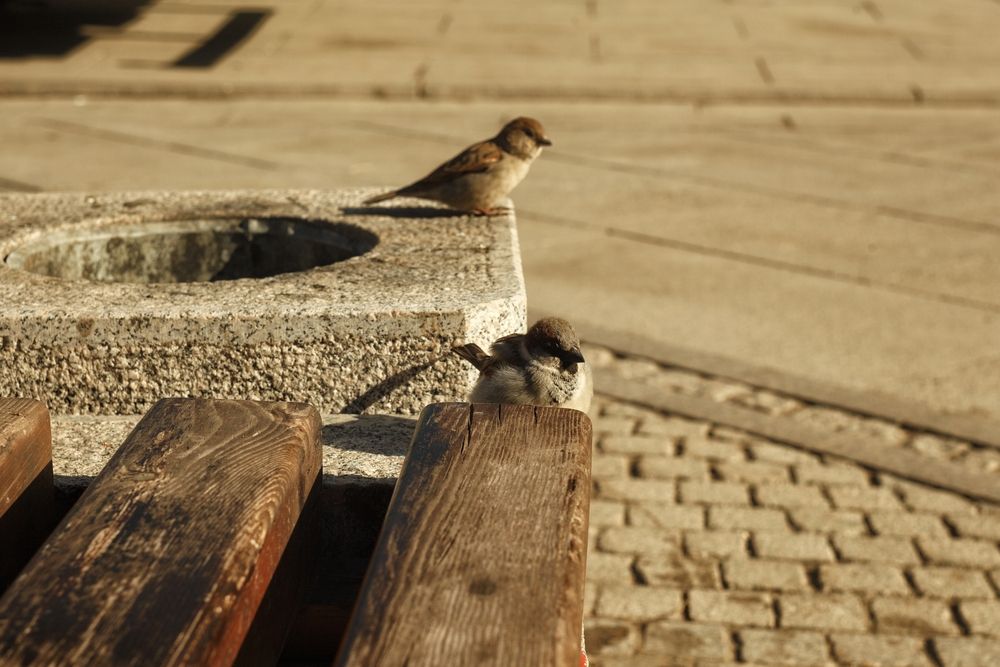 Photograph by Дарина Синица