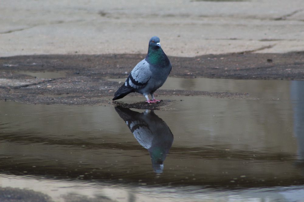 Photograph by Елена Наленч
