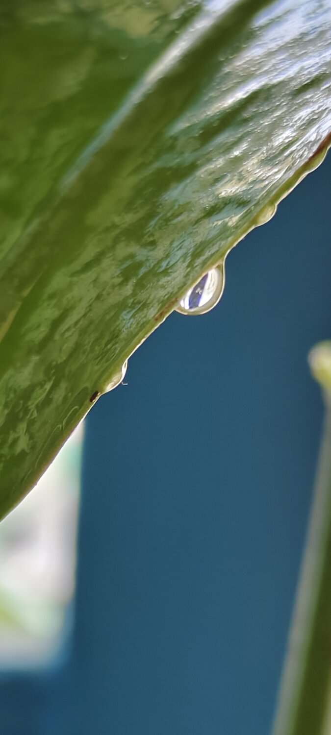 Photo #13722388
