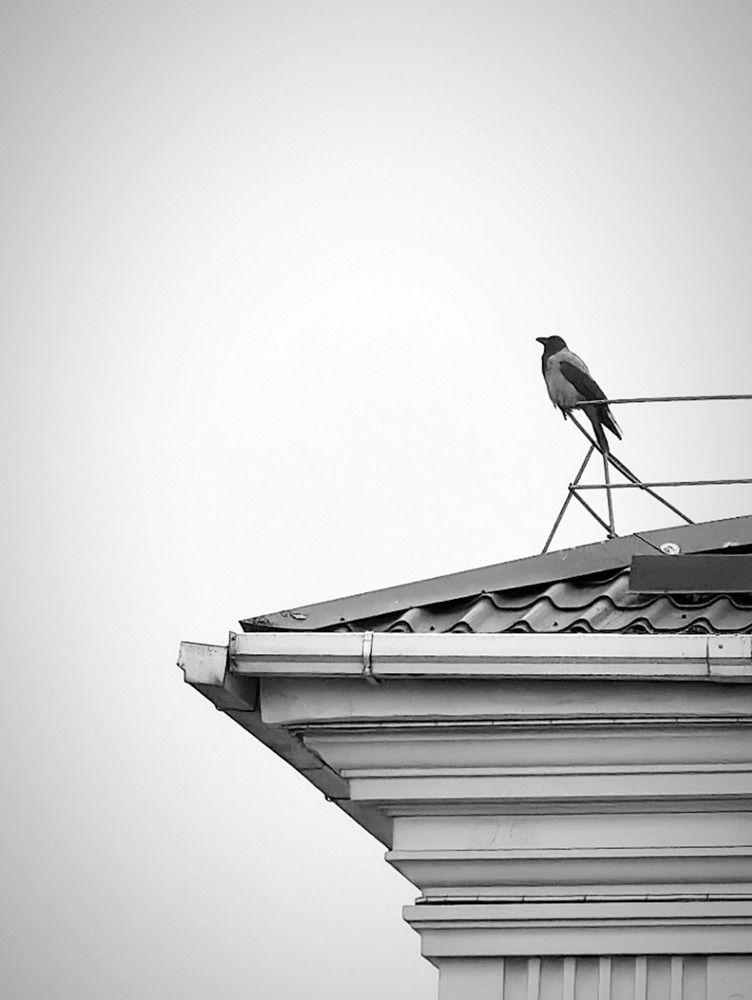 Photograph by Александра