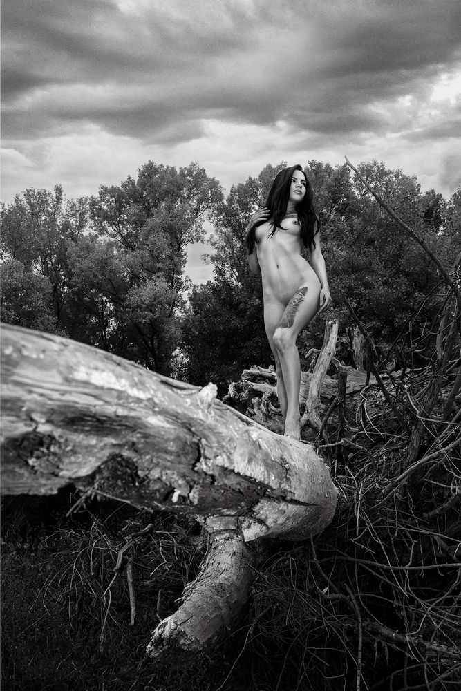 Фотография автора Александр БАРДЕНЦЕВ