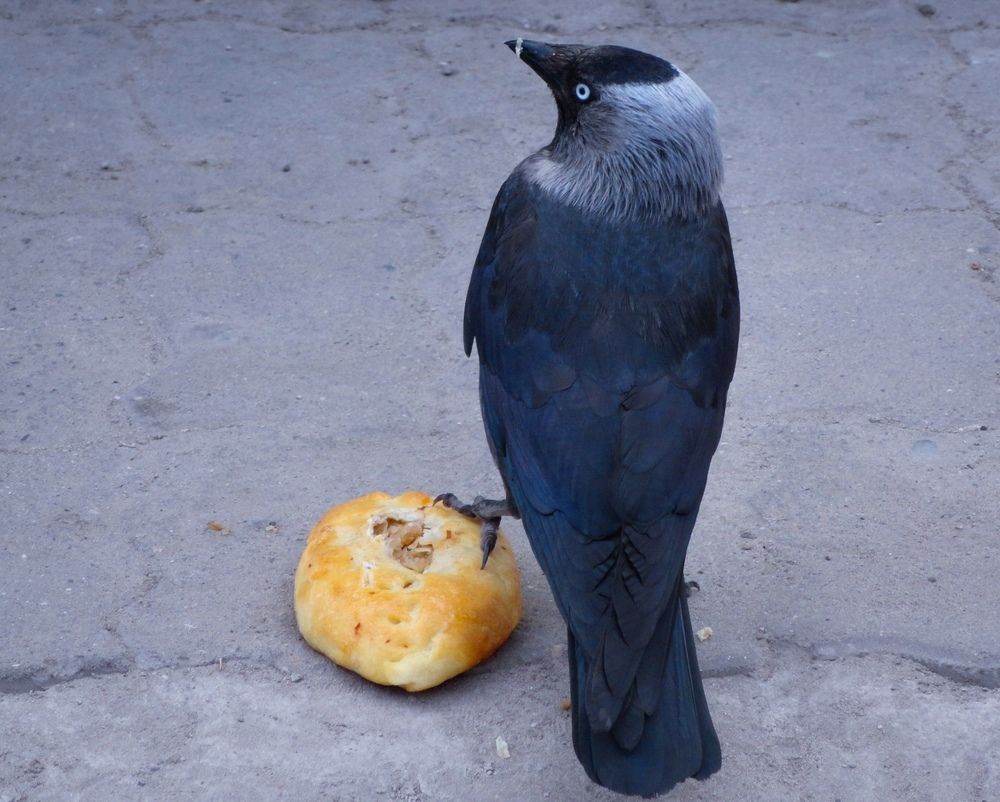 Photograph by Natalia Kalinina